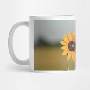 Kansas Wild Sunflower shot closeup Mug